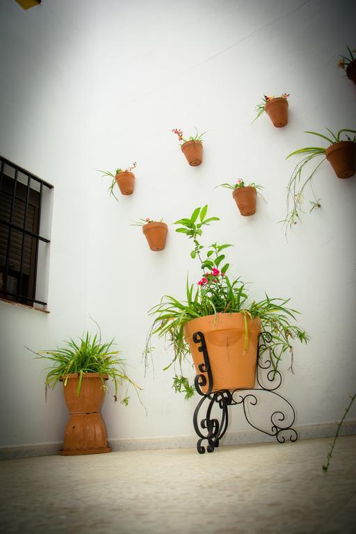 Hostal Malia Conil De La Frontera Buitenkant foto